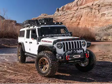 Bushwacker Cut-Out Style Fender Flares F-250